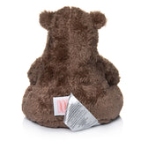 Little Bear - Benny - HoneyBug 