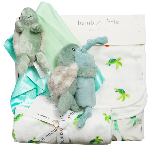 Turtle Time Gift Box - HoneyBug 