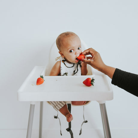 Zoology and Specs Bib Pack - HoneyBug 